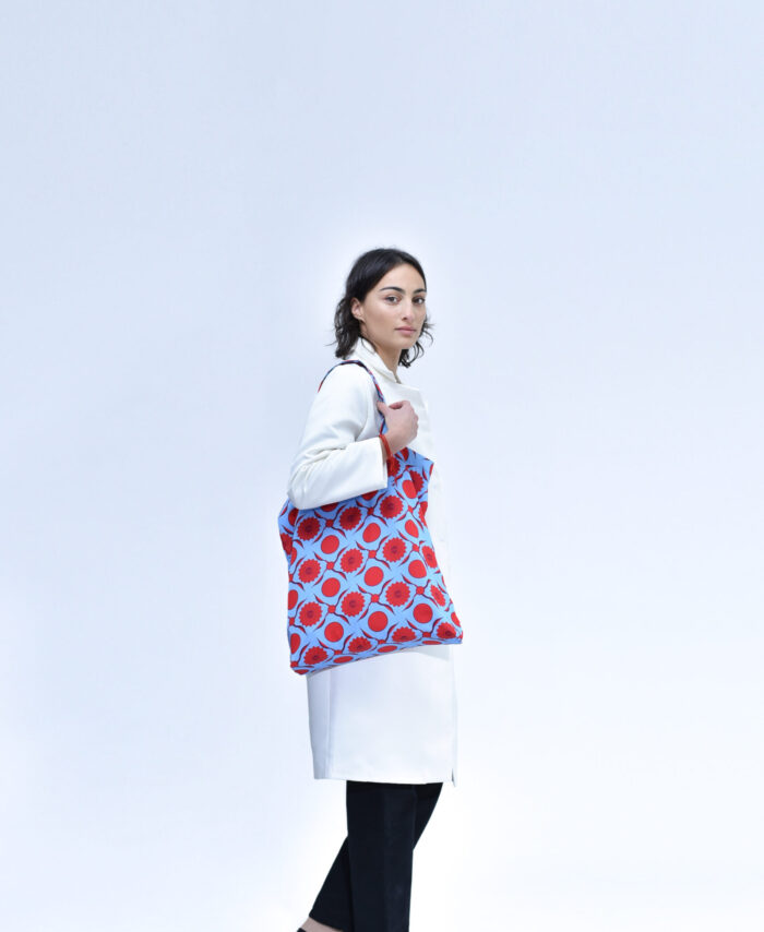 Handbag Bani